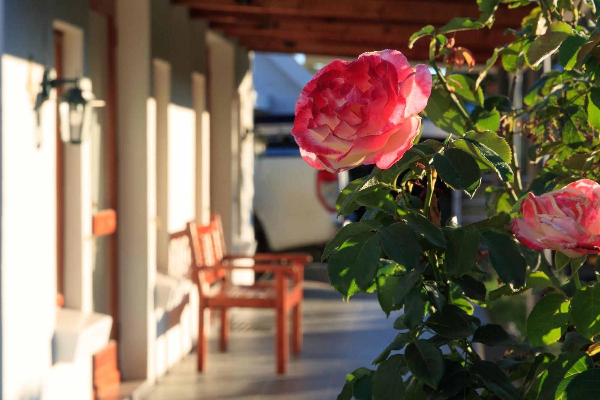 Mount Currie Inn Kokstad  Exterior foto